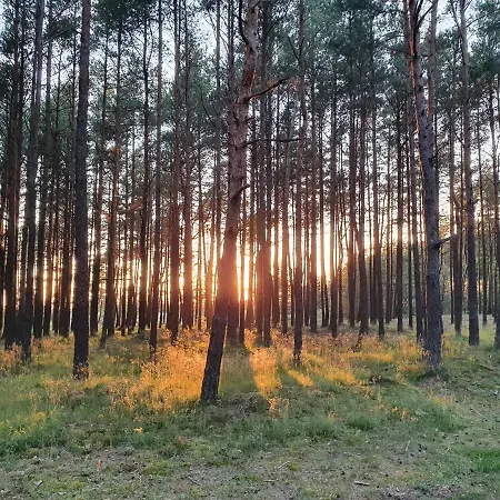 Osia Osia Vip Apartamentai Apartmán *