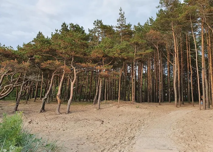 Osia Osia Vip Apartamentai *